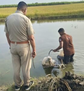 आबकारी विभाग की टीम ने अवैध शराब निर्माण वाले स्थानों पर की छापेमारी।